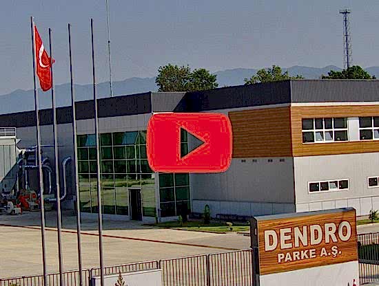 Parke Nasıl Yapılır?