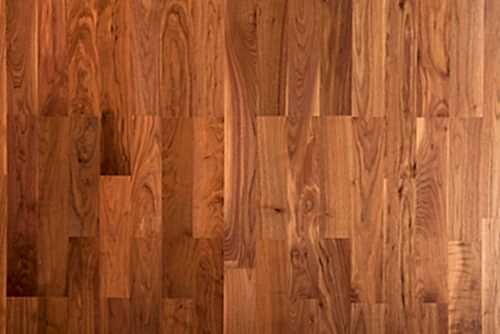 Dendro Amerikan Ceviz